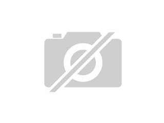 Japanisches Kochmesser